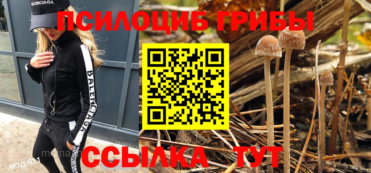Псилоцибиновые грибы GOLDEN TEACHER  Псилоцибиновые грибы Psilocybe  Советск  Вход с VPN 